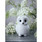 Figurka Owl Snow white 8,5 cm