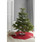 Kobereček pod vánoční stromek Deep Red