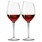 Sklenice na červené víno Syrah 1 ks