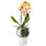 Květináč na orchideje