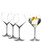 Sada sklenic na Gin Tonic Extreme 4 ks